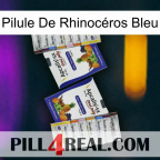 Pilule De Rhinocéros Bleu 12